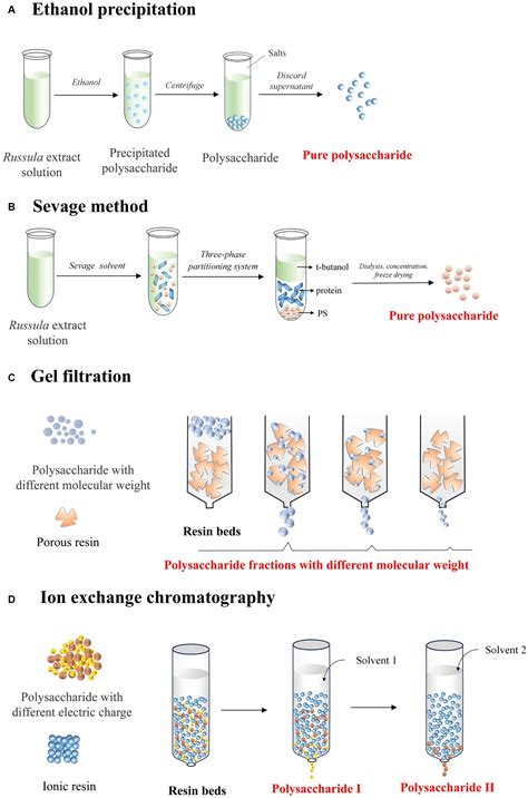test for polysaccharides|Bioactivities, isolation and purification methods of polysaccharides .